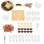 Janolia-Complete-Bee-Queen-Rearing-Cup-Kit-System-Bee-Beekeeping-Catcher-Box-Catcher-Cage-Bee-Keeper-Tools-Apiculture-Box-Set-110-Cell-Cups-Tool-Set-0