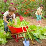 Kids-Garden-Wheelbarrow-Yard-Tools-for-Children-Red-with-Wood-Handles-Steel-Braces-Solid-Tire-33-L-x-17-W-x-1575-H-0