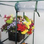 MyEasyShopping-Portable-Outdoor-4-Shelves-Greenhouse-Greenhouse-Plant-Shelves-3-Growing-Rack-Stand-Start-New-Adjustable-0