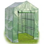 N-8-Shelves-Greenhouse-Portable-Mini-Walk-In-Outdoor-Green-House-2-Tier-New-0