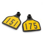 Nasco-CAL-TAG-Calf-Tag-Numbers-on-1-Side-3-L-x-2-14-W-Pkg-of-25-Numbers-151-175-Yellow-Over-Black-Base-C34506GN-0