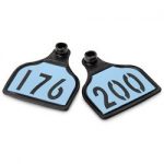 Nasco-CAL-TAG-Calf-Tag-Numbers-on-1-Side-3-L-x-2-14-W-Pkg-of-25-Numbers-176-200-Sky-Blue-Over-Black-Base-C34508HN-0