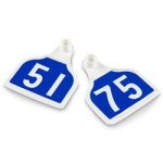 Nasco-CAL-TAG-Calf-Tag-Numbers-on-1-Side-3-L-x-2-14-W-Pkg-of-25-Numbers-51-75-Dutch-Blue-Over-White-Base-C34507CN-0