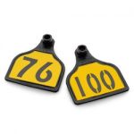 Nasco-CAL-TAG-Calf-Tag-Numbers-on-1-Side-3-L-x-2-14-W-Pkg-of-25-Numbers-76-100-Yellow-Over-Black-Base-C34506DN-0