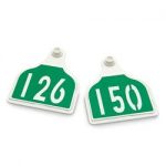 Nasco-CAL-TAG-Cow-Tag-Numbers-on-1-Side-4-L-x-3-14-W-Pkg-of-25-Numbers-126-150-Green-Over-White-Base-C34497FN-0