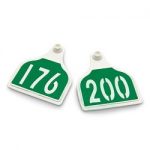 Nasco-CAL-TAG-Cow-Tag-Numbers-on-1-Side-4-L-x-3-14-W-Pkg-of-25-Numbers-176-200-Green-Over-White-Base-C34497HN-0