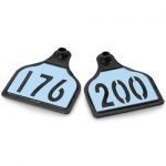 Nasco-CAL-TAG-Cow-Tag-Numbers-on-1-Side-4-L-x-3-14-W-Pkg-of-25-Numbers-176-200-Sky-Blue-Over-Black-Base-C34502HN-0