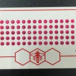 Opalith-card-with-numbers-for-queen-marking-5-colors-and-glue-Beekeeping-set-0-2