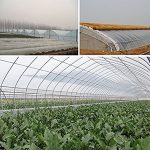 OriginA-Clear-Plastic-Film-Polyethylene-Covering-for-Greenhouse-and-Grow-Tunnel31mil65x100ft-0