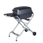 PK-Grills-Grill-and-Smoker-0-1