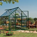 Palram-Nature-Harmony-Greenhouse-6-wide-x-8-long-0