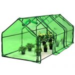 Picotech-Portable-Greenhouse-PVC-Cover-Heavy-Duty-Power-Coated-Steel-Pipe-Green-Strong-Frame-Stable-Clear-Sturdy-Durable-Lightweight-Roll-up-Door-Zipper-Large-Easy-Setup-home-gardeners-hobby-botanist-0