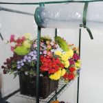 Portable-4-Shelves-Walk-In-Greenhouse-Outdoor-3-Tier-Green-House-New-0-4