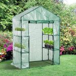 Portable-Greenhouse-Walk-In-Green-House-Outdoor-Year-Around-Plant-Gardening-56-x-30-x-78-0