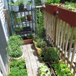 Quictent-Hot-4-tier-Mini-Portable-Green-Hot-Grow-Seeds-House-Indoor-Outdoor-wShelves-Greenhouse-0-1