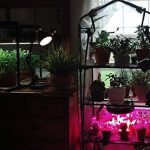 Quictent-Hot-4-tier-Mini-Portable-Green-Hot-Grow-Seeds-House-Indoor-Outdoor-wShelves-Greenhouse-0-2