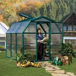 Rion-EcoGrow-2-Twin-Wall-Greenhouse-6-x-6-0