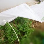 RowTunnel5X24FT-Mini-Greenhouse-Hoop-House-KitsPlant-Cover-Frost-Blanket-For-Season-Extension-and-Seed-Germination-12pcs-Arch-H-2734-Arch-Span-51-66-0-1