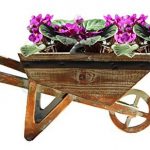 Small-Wheelbarrow-Planter-0
