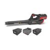 Snapper-XD-82V-Leaf-Blower-w-2-Ah-Lithium-Ion-Batteries-Pair-Charger-0
