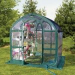SpringHouse-Greenhouse-with-green-frame-and-clear-body-with-UV-protection-for-longevity-0-0