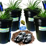 The-Atwater-HydroPod-Standard-4-SITE-w-8-Baskets-AC-Powered-Dual-DWC-Deep-Water-Culture-Recirculating-Drip-Hydroponic-Garden-System-Kit-5-Gallon-Size-System-0