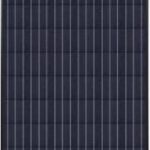 Trina-Solar-250W-Poly-BLKBLK-35mm-Solar-Panel-TSM250PA0505-Pack-of-4-0