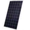 Trina-Solar-250W-Poly-Dual-Glass-Frameless-1000V-Solar-Panel-Pack-of-4-0