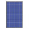 Trina-Solar-260W-Poly-BLKWHT-Solar-Panel-Pack-of-4-0