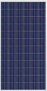 Trina-Solar-295W-Poly-SLVWHT-1000V-Solar-Panel-Pack-of-4-0