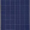 Trina-Solar-40mm-245W-Poly-BLKWHT-Solar-Panel-Pack-of-4-0