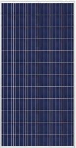Trina-TrinaSmart-300W-Poly-SLVWHT-Solar-Panel-TSM-300PD14002-Pack-of-4-0