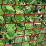 V-Protek-5x20ft-Plastic-Poultry-Fence-Poultry-NettingChicken-Net-Fence-For-Flower-Plants-SupportRed-0-0