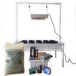 Viagrow-White-Flood-Drain-Benched-System-with-Light-Stand-400W-Electronic-Dimmable-System-2-x-4-0