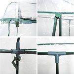 WShop-Portable-4-Shelves-Greenhouse-Outdoor-3-Tier-Green-House-New-Reinforced-Polyethylene-0-2