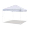 Z-Shade-10-x-10-Venture-Straight-Leg-Canopy-Tint-Out-Door-Shade-Camping-0