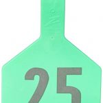 Z-Tags-1-Piece-Pre-Numbered-Laser-Print-Tags-for-Cows-Numbers-from-1-to-25-Green-0