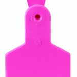 Z-Tags-50-Count-1-Piece-Blank-Tags-for-Small-Animals-Pink-0