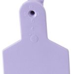 Z-Tags-50-Count-1-Piece-Blank-Tags-for-Small-Animals-Purple-0
