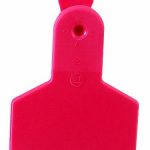 Z-Tags-50-Count-1-Piece-Blank-Tags-for-Small-Animals-Red-0