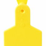 Z-Tags-50-Count-1-Piece-Blank-Tags-for-Small-Animals-Yellow-0