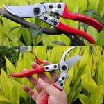 8-inch-Garden-Hand-Tool-Tree-Clippers-Flower-Trimmer-Bypass-Pruner-Pruning-Shears-with-Sheath-0-0