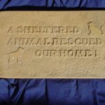 A-Sheltered-Pet-Rescued-Dog-Cat-Stepping-Stone-Concrete-Plaster-Mold-1291-0-0