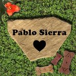Accent-Direct-Personalized-Pet-Memorial-Stone-Custom-Engraved-Natural-Stone-Grave-Marker-Garden-Stone-Desk-or-Shelf-Indoor-or-Outdoor-Color–Watermark-Sienna-0-1