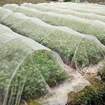Agfabric-4×100-Bug-Net-Insect-Bird-Netting-Garden-Netting-Protect-Plants-Fruits-Flowers-against-Bugs-Birds-Squirrels-0-2