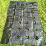 Agfabric-Easy-Plant-Weed-Block-for-Raised-Bed-Outdoor-Garden-Weed-Rugs-Garden-mat-30oz-3x50with-Planting-Hole-Dia-6-0