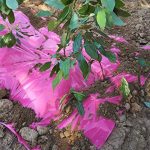 Agfabric-Pink-Mulch-Garden-Plastic-Film-5x100ft-size-12Mil-0-0
