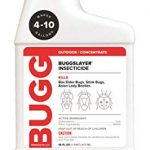BUGGSLAYER-Multipurpose-Insect-Killer-Kills-Box-Elder-Bugs-Stink-Bugs-Asian-Lady-Beetles-Ants-Spiders-and-Over-50-Other-Insect-Pests-Concentrate-Insecticide-16-oz-1-0