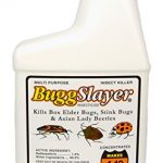 BUGGSLAYER-Multipurpose-Insect-Killer-Kills-Box-Elder-Bugs-Stink-Bugs-Asian-Lady-Beetles-Ants-Spiders-and-Over-50-Other-Insect-Pests-Concentrate-Insecticide-16-oz-1-0-2