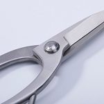 Beginner-Bonsai-Tools-Root-Pruning-Scissors-190-748-Stainless-Steel-Standard-Quality-For-Beginner-Bonsai-Peoples-0